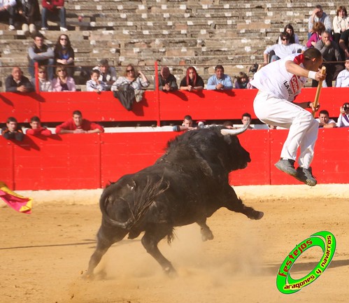 Alfaro (La Rioja)  16 de mayo Concurso de recortadores con anillas, ganaderia Jose Arriazu e Hijos (Ablitas, Navarra) 4639263614_d27f22586d