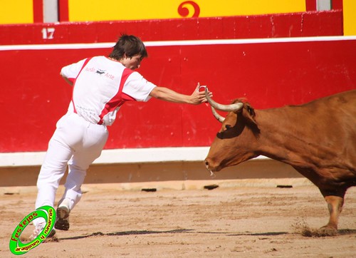 Concurso de recortadores con anillas de Pamplona (Navarra) ganaderias Santos Zapateria (Valtierra, Navarra), Herederos de Angel Macua (Larraga, Navarra), Jose Arriazu e Hijos (Ablitas, Navarra) y Vicente Dominguez (Funes, Navarra) 4794051054_dac4e3d77a