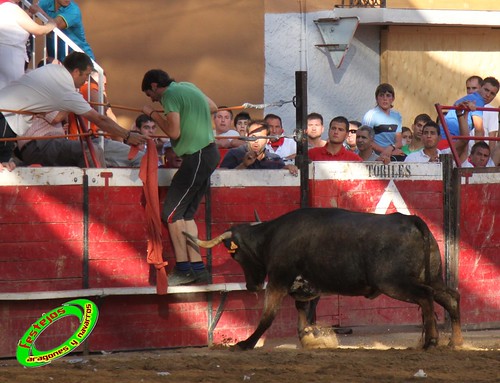 Cadreita (Navarra) 16-07-2010 GANADERIA SANTOS ZAPATERIA (Valtierra, Navarra) 4853320729_4a2f685e41