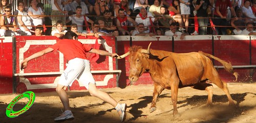 Cadreita (Navarra) 16-07-2010 GANADERIA SANTOS ZAPATERIA (Valtierra, Navarra) 4853369979_f0e0c44738