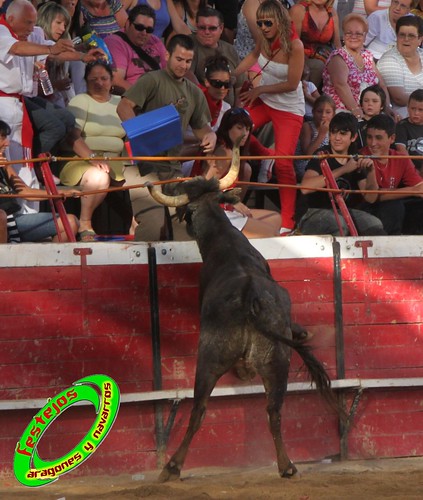 Cadreita (Navarra) 16-07-2010 GANADERIA SANTOS ZAPATERIA (Valtierra, Navarra) 4853941334_bfc128858f