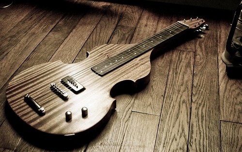 Projet de construction d'une lap steel - Page 4 4937771788_e6e378012f