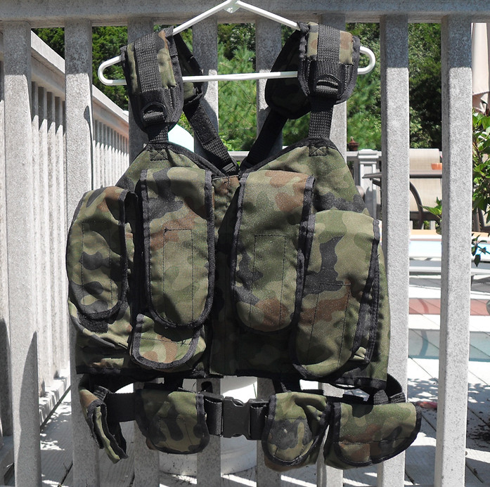 Polish Pantera Assault Vest and Body Armor Vest 4929453351_a7907e394c_b