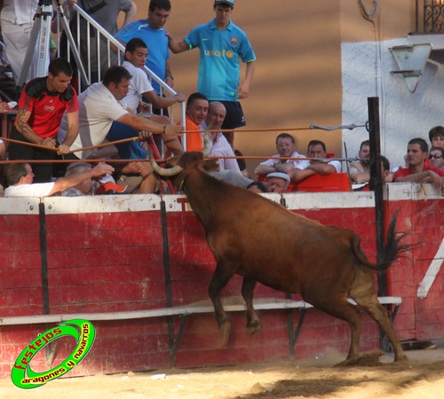 Cadreita (Navarra) 16-07-2010 GANADERIA SANTOS ZAPATERIA (Valtierra, Navarra) 4853991802_1bd2b108b7