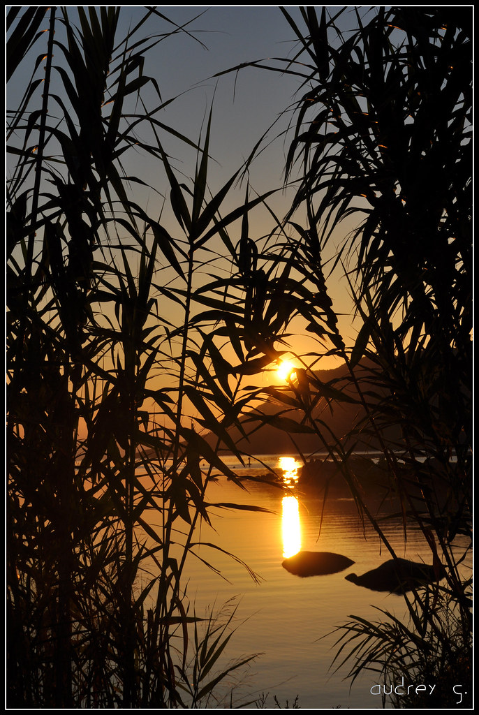 Porto-Vecchio - Sunrise 4935582803_3b3049272f_b