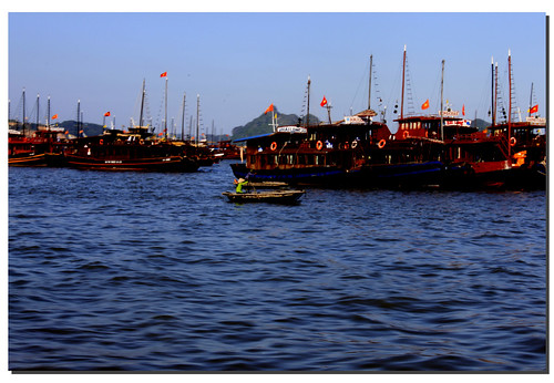 Ha Long- Tuan Chau- Cat Ba 4836756948_5259f71833