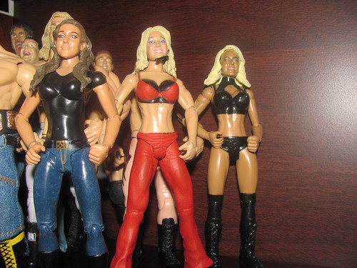 My WWE/TNA/Other Figure Collection 4845069550_dd8599568e