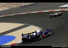 Endurance Series mod - SP1 - Talk and News (no release date) - Page 2 5148471323_2bdc7e2139_m