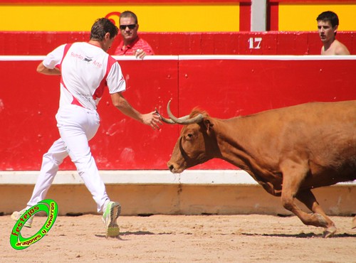 Concurso de recortadores con anillas de Pamplona (Navarra) ganaderias Santos Zapateria (Valtierra, Navarra), Herederos de Angel Macua (Larraga, Navarra), Jose Arriazu e Hijos (Ablitas, Navarra) y Vicente Dominguez (Funes, Navarra) 4793476709_a324bd1b75