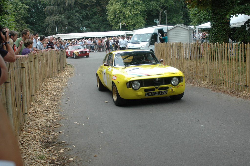 Deux 1300 Junior à Goodwood 2010 4756774933_0a2f045625_b