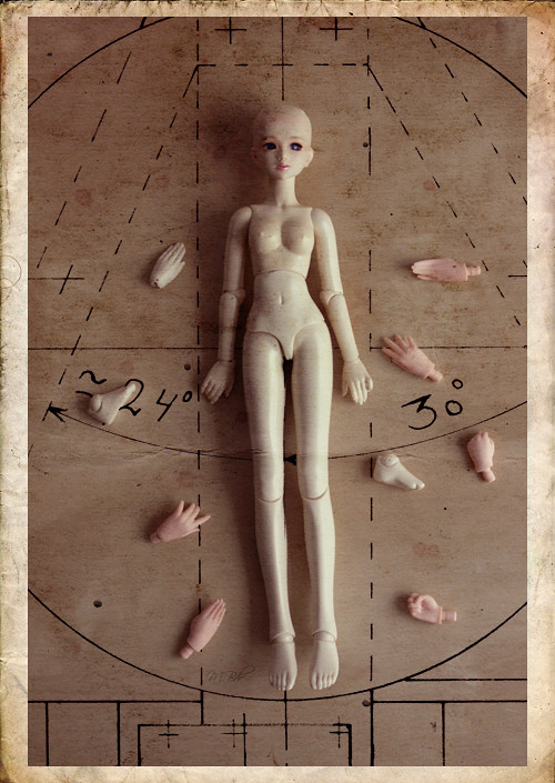 [BJD de Myra] • A r c h i v e . I • - Page 34 4860418920_543cf6f181_b