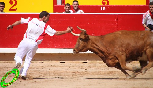 Concurso de recortadores con anillas de Pamplona (Navarra) ganaderias Santos Zapateria (Valtierra, Navarra), Herederos de Angel Macua (Larraga, Navarra), Jose Arriazu e Hijos (Ablitas, Navarra) y Vicente Dominguez (Funes, Navarra) 4793447741_61403f61e3