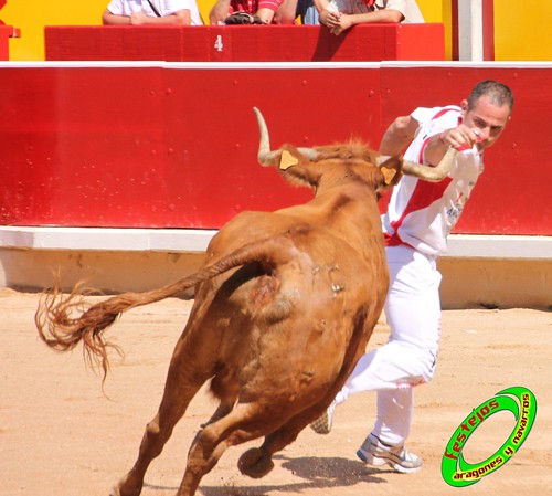 Concurso de recortadores con anillas de Pamplona (Navarra) ganaderias Santos Zapateria (Valtierra, Navarra), Herederos de Angel Macua (Larraga, Navarra), Jose Arriazu e Hijos (Ablitas, Navarra) y Vicente Dominguez (Funes, Navarra) 4794046462_4289dfea99