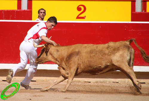 Concurso de recortadores con anillas de Pamplona (Navarra) ganaderias Santos Zapateria (Valtierra, Navarra), Herederos de Angel Macua (Larraga, Navarra), Jose Arriazu e Hijos (Ablitas, Navarra) y Vicente Dominguez (Funes, Navarra) 4793419451_d64f53b7d0