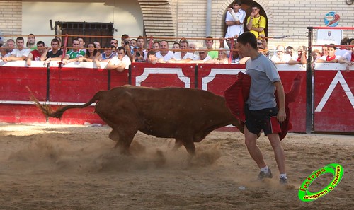 Cadreita (Navarra) 16-07-2010 GANADERIA SANTOS ZAPATERIA (Valtierra, Navarra) 4853360075_73f2751edb