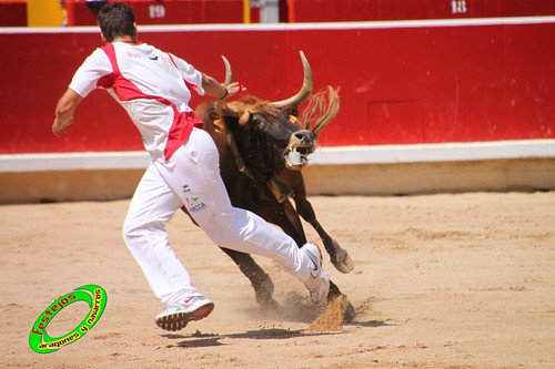 Concurso de recortadores con anillas de Pamplona (Navarra) ganaderias Santos Zapateria (Valtierra, Navarra), Herederos de Angel Macua (Larraga, Navarra), Jose Arriazu e Hijos (Ablitas, Navarra) y Vicente Dominguez (Funes, Navarra) 4793506979_0e53067b07