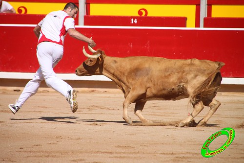 Concurso de recortadores con anillas de Pamplona (Navarra) ganaderias Santos Zapateria (Valtierra, Navarra), Herederos de Angel Macua (Larraga, Navarra), Jose Arriazu e Hijos (Ablitas, Navarra) y Vicente Dominguez (Funes, Navarra) 4793451699_00839bf4e5