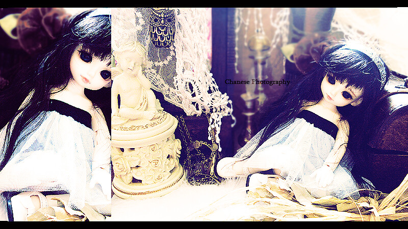 [BJD/ Pullip] 16 séances p.9 - Page 3 4897662340_cbf94cef3a_b