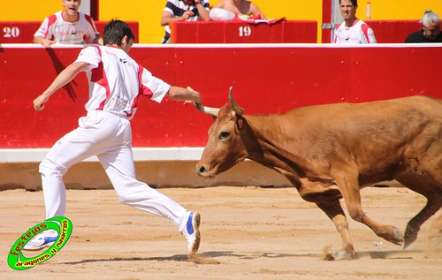 Concurso de recortadores con anillas de Pamplona (Navarra) ganaderias Santos Zapateria (Valtierra, Navarra), Herederos de Angel Macua (Larraga, Navarra), Jose Arriazu e Hijos (Ablitas, Navarra) y Vicente Dominguez (Funes, Navarra) 4793429399_46c52a9c00