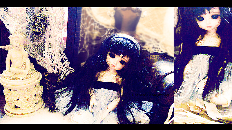 [BJD/ Pullip] 16 séances p.9 - Page 3 4897664198_76c17ae220_b