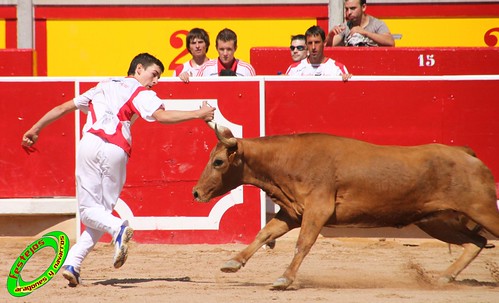 Concurso de recortadores con anillas de Pamplona (Navarra) ganaderias Santos Zapateria (Valtierra, Navarra), Herederos de Angel Macua (Larraga, Navarra), Jose Arriazu e Hijos (Ablitas, Navarra) y Vicente Dominguez (Funes, Navarra) 4794072438_c2f2de3549