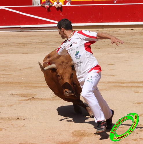 Concurso de recortadores con anillas de Pamplona (Navarra) ganaderias Santos Zapateria (Valtierra, Navarra), Herederos de Angel Macua (Larraga, Navarra), Jose Arriazu e Hijos (Ablitas, Navarra) y Vicente Dominguez (Funes, Navarra) 4794015658_f612cc76dc