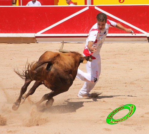 Concurso de recortadores con anillas de Pamplona (Navarra) ganaderias Santos Zapateria (Valtierra, Navarra), Herederos de Angel Macua (Larraga, Navarra), Jose Arriazu e Hijos (Ablitas, Navarra) y Vicente Dominguez (Funes, Navarra) 4794137872_6407c9fe82