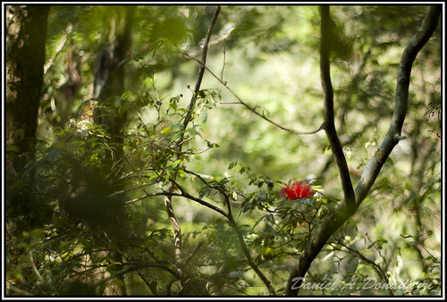 Ecoparque Sperry