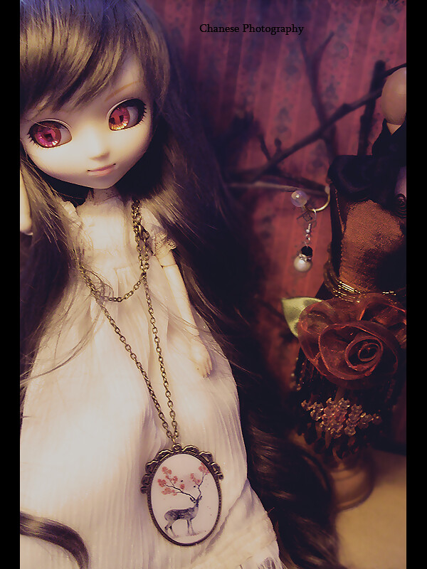 [BJD/ Pullip] 16 séances p.9 - Page 4 5053347307_8f6fda5a31_b