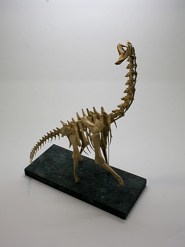 brachiosaurus skeleton by kawahata fumiaki 5054837591_86ed05b408