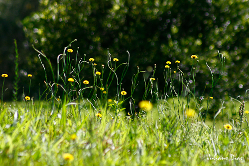 Eco Parque Sperry - Canela/RS