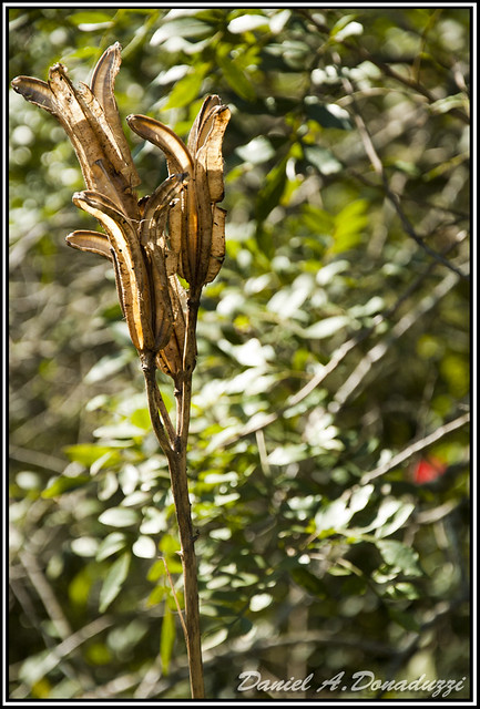 Ecoparque Sperry