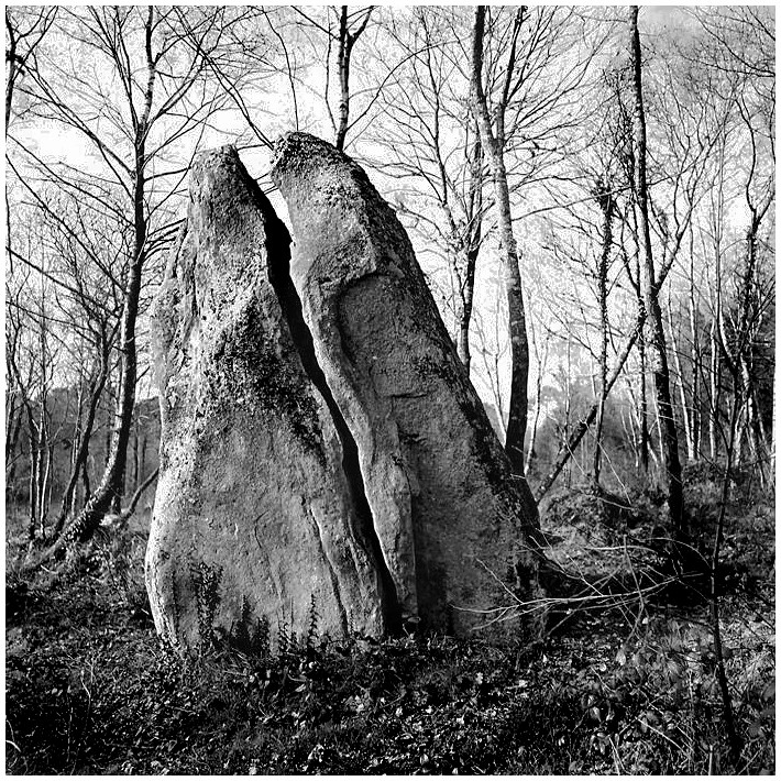 Menhir fendu de Plouhinec (56) 5452288350_d67034cc72_b