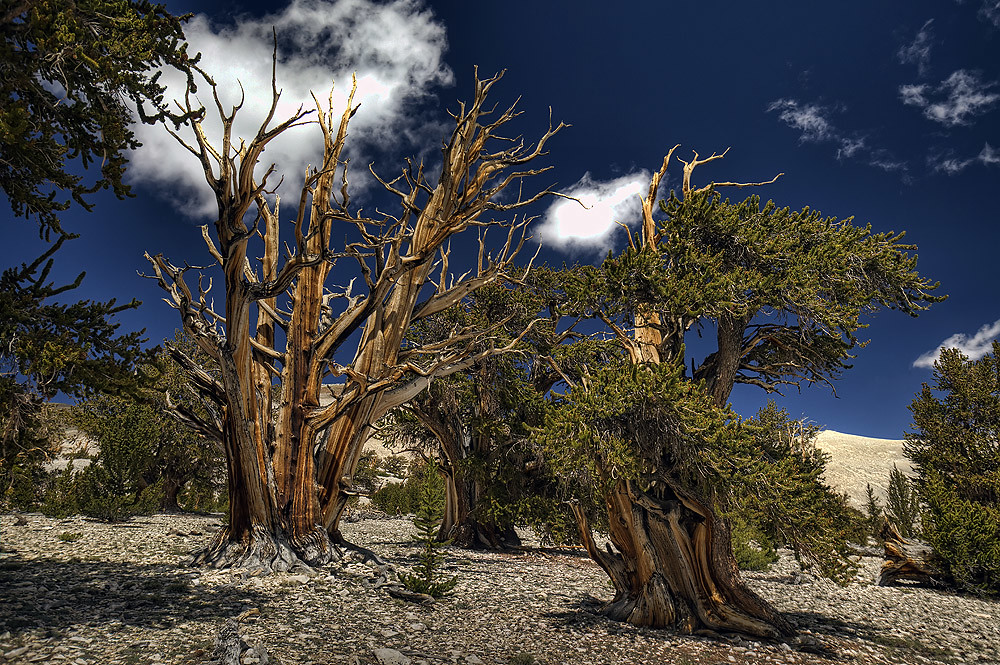 Diez paisajes espectaculares de Estados Unidos 4980699122_cf035ba4f8_b