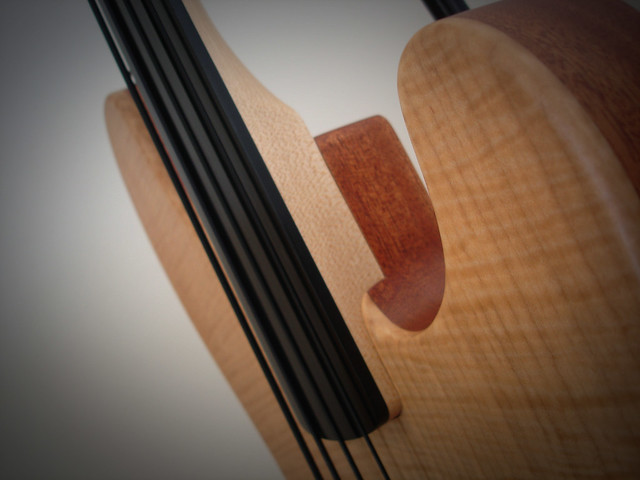 Mostre o fretless mais bonito que você já viu! 4963698002_6a74293d63_z