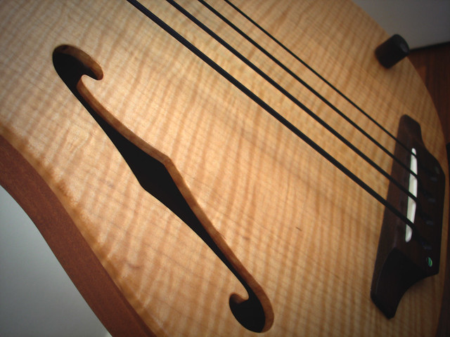 Mostre o fretless mais bonito que você já viu! 4963109321_b34d73f746_z