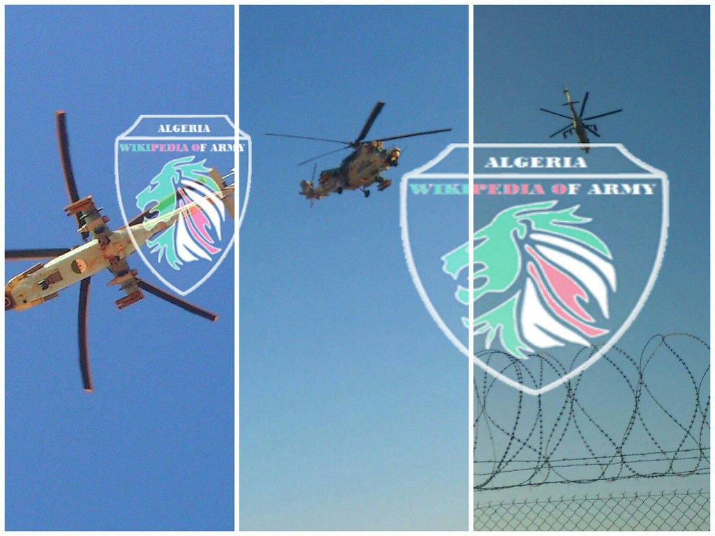 صور مروحيات Mi-24MKIII SuperHind الجزائرية - صفحة 8 35902906172_29928367fc_b