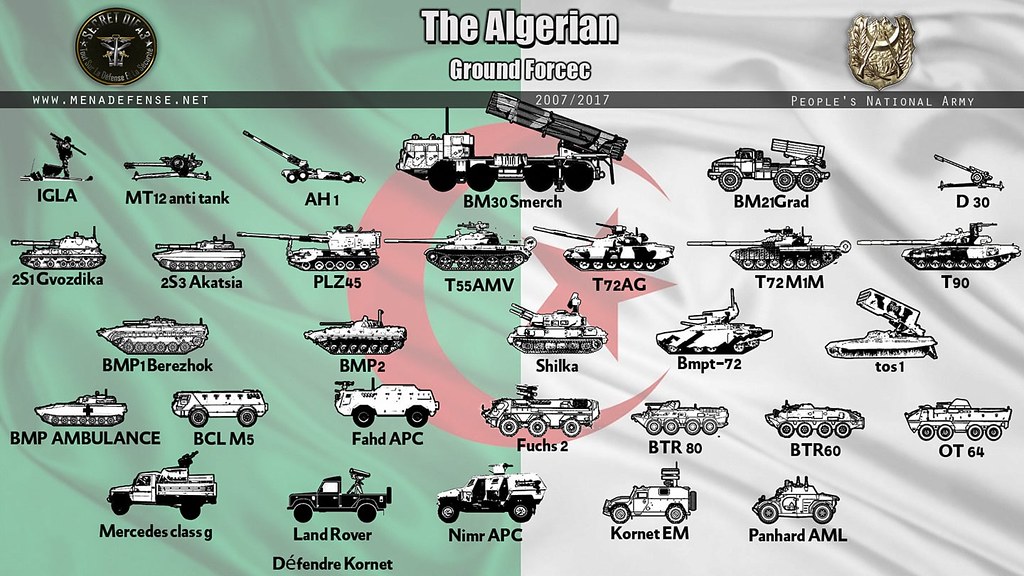 القوات البرية الجزائرية  - صفحة 49 36550417014_4a1051b777_b