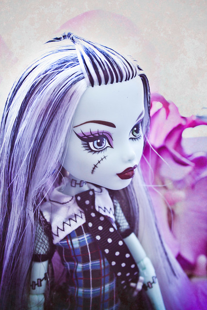 [Monster High] Les monstres de Nelene up 12/01 5420712611_1474675c9a_z