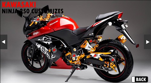 Wanz Shop - Ninja 250R accessories 5522501675_d6088169b8