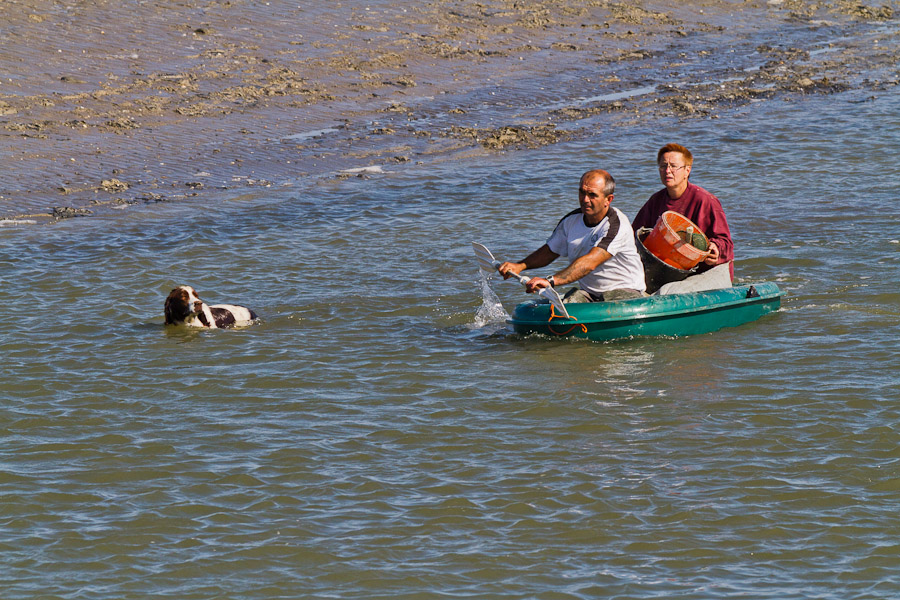 WK en Baie de Somme le 20, 21 et 22 Mai 2011 : Les photos d'ambiances - Page 2 5768342720_58afaf7293_o