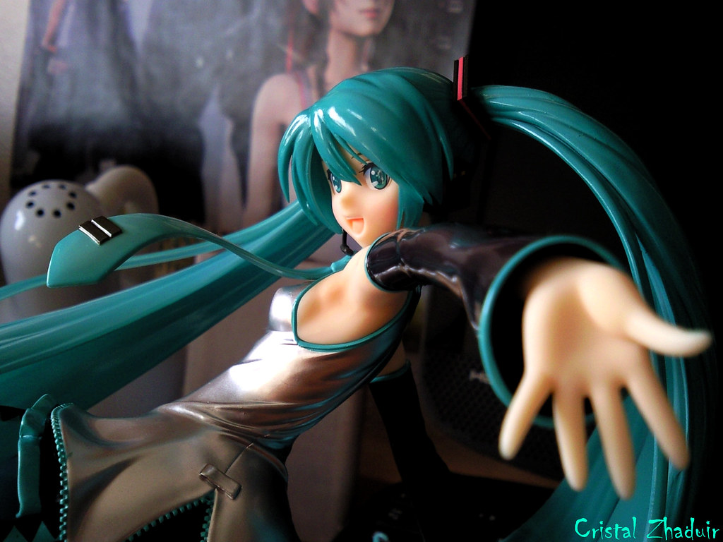 [Review] Miku Hatsune Tony Taka ver. (Max Factory) 5791587517_c41eff9c68_b