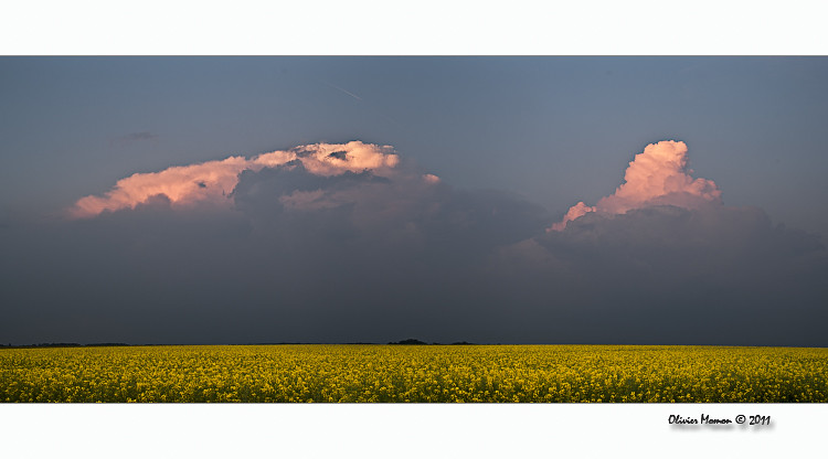 Orages à partir du 19 Avril? - Page 8 5672912025_84726fbfe9_b