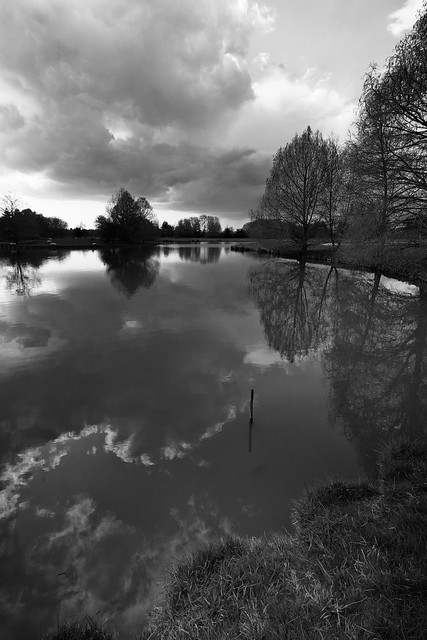 Sortie au Parc Floral de Bordeaux - les photos 5574955342_5c378ef9cc_z