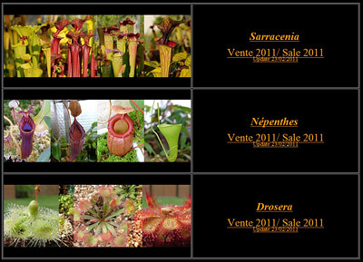 Vente 2011 Sarracenia/Népenthes/Drosera 5547692533_74ef79f90e