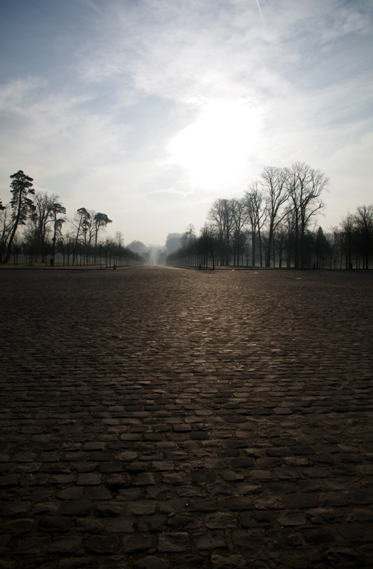 Petit matin au Grand Trianon 5453845986_fd025ac2a9_o