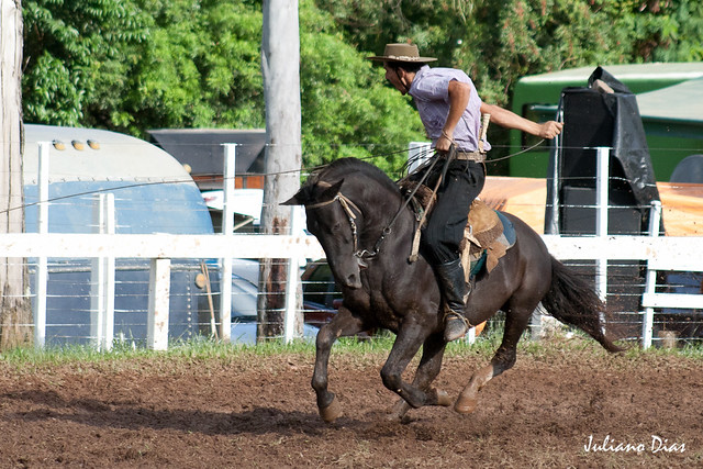 10º Rodeio Nacional de Novo Hamburgo