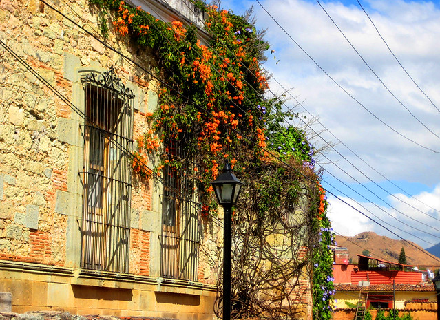 Para Dino, algunas fotos de Oaxaca 5360174391_1cbb327052_z