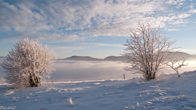 La promenade....par dessus les nuages! [ Pana LX3] 5402060902_a78e1fb9bd_z