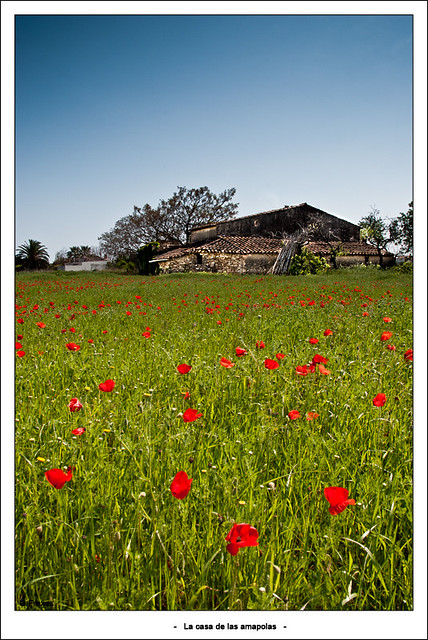 Paisaje rural - La casa de las amapolas 04